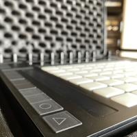 Ableton Push 2 (immacolata, valigetta inclusa)