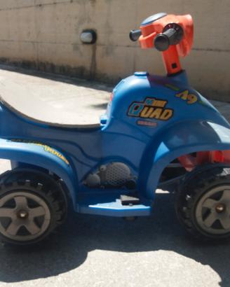 quad elettrico