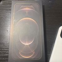 Apple iPhone 12 pro max 256 gb  oro
