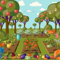 Ricerco Terreno per orto