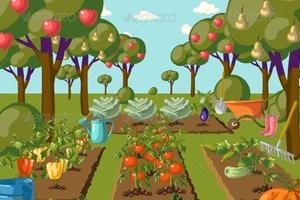 Ricerco Terreno per orto