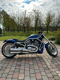 Harley Davidson V Rod Custom 2008