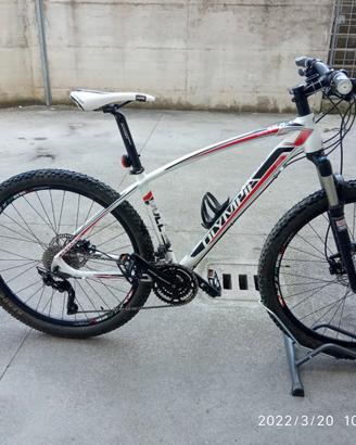 MTB Front