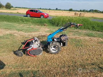giardinaggio pulizia giardini trincia bcs