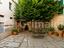 Immagine 7