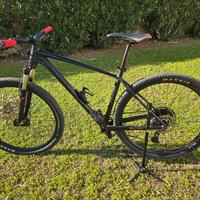 Mtb Scott Scale 980