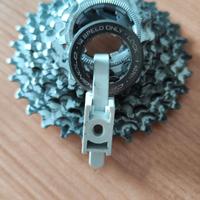 Pacco pignoni Campagnolo 12v