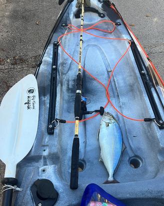 Kayak
