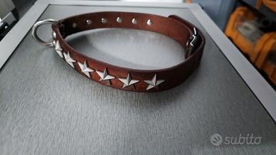 collare pelle cane