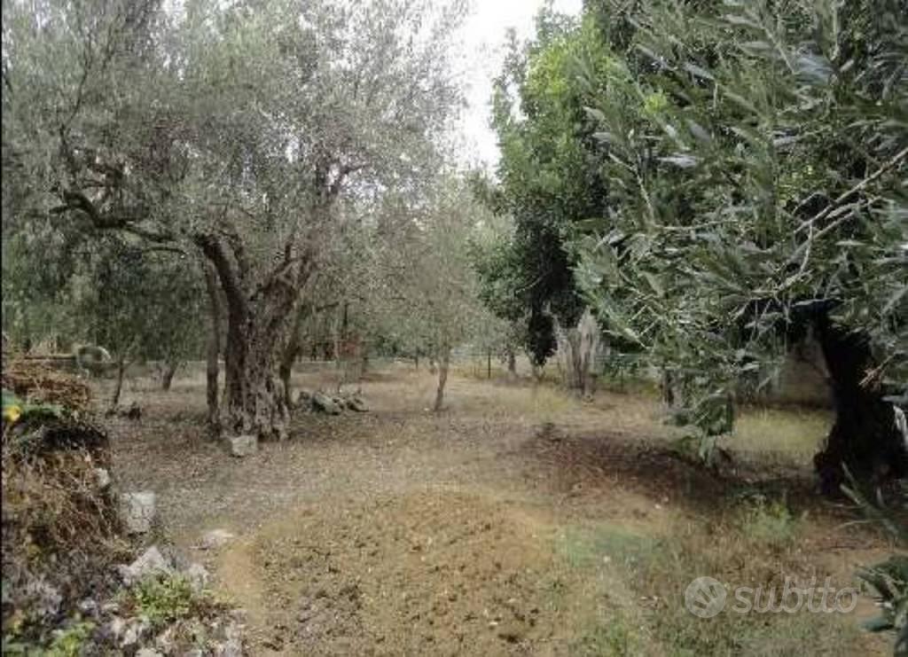 Immobile in asta di 796 m² a Carini - Altro