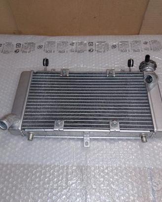 radiatore acqua benelli trk 502 502x