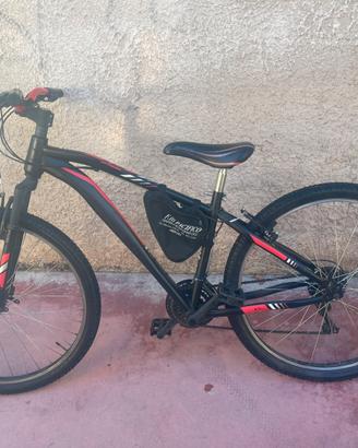 bicicletta mtb (pescara colli)