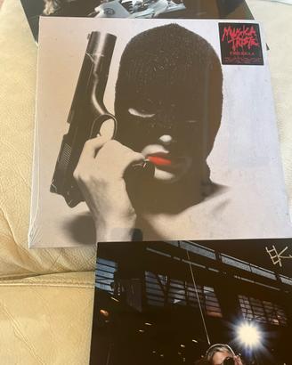 Vinile musica triste