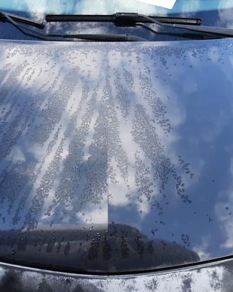 RENAULT MEGANE 2008 - COFANO ANTERIORE