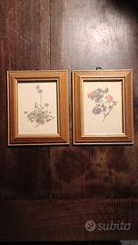 coppia quadretti con stampe fiori