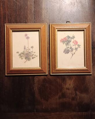 coppia quadretti con stampe fiori