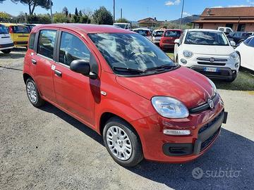 FIAT Pandina PANDA MY26 1.0 65CV HYBRID ICON