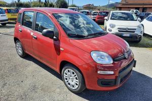 FIAT Pandina PANDA MY26 1.0 65CV HYBRID ICON