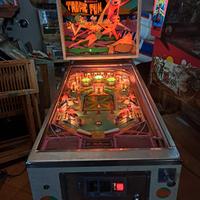 Flipper Williams Tropic Fun