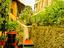 Immagine 13