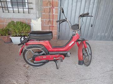 Paggio SI