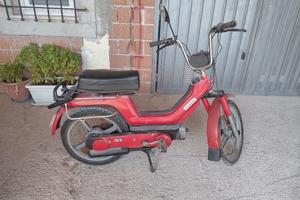 Paggio SI