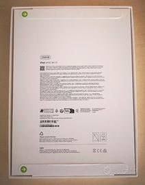 iPad 11 argento 256gb