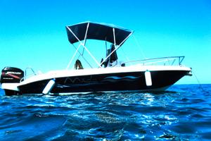 Barca Open 5,66m con Mercury F40 Benzina