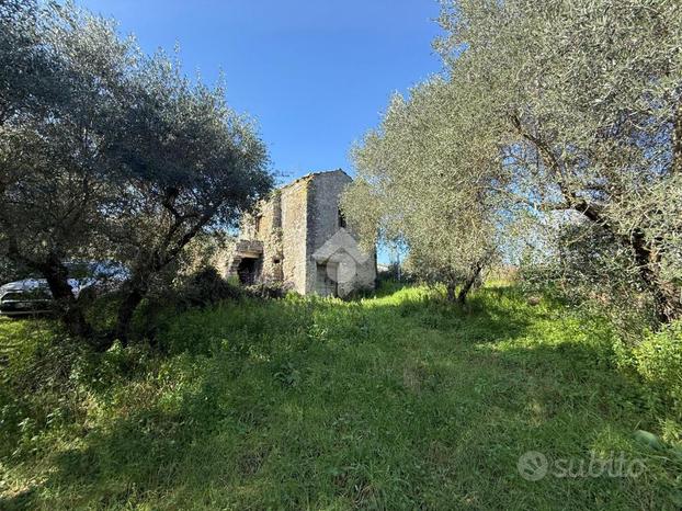 TER. AGRICOLO A GUIDONIA MONTECELIO