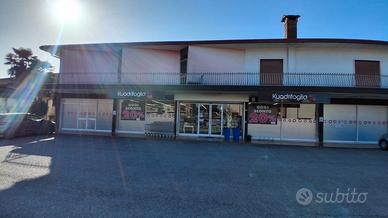 Superficie mq. 300 Loreggia