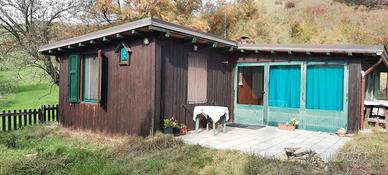 Podere con uliveto e rustico e ricovero