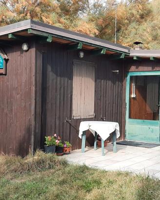 Podere con uliveto e rustico e ricovero