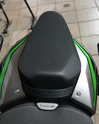 maniglie passeggero z900 2025