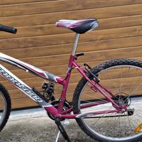 bicicletta da donna