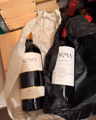 Oreno 2019 - Orma 2020