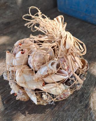 🐚🐚🐚 Borsa cozze decorativi