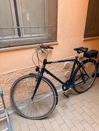 Bici alpina