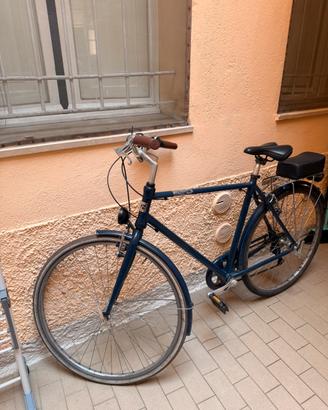Bici alpina