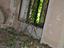 Immagine 14