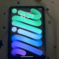 Ipad mini 6 wifi + cellular