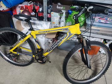 Mountainbike  