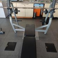 panca Piana Technogym 