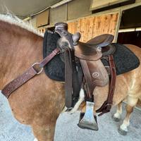 Sella Westwood Lady Wade