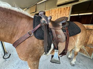 Sella Westwood Lady Wade