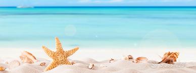 Direttore tecnico per agenzia viaggi Toscana