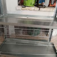 Frontali gabbia uccelli