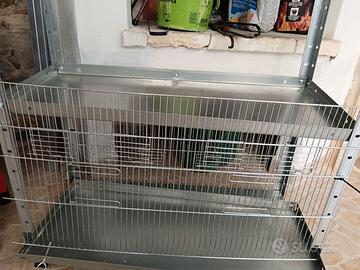 Frontali gabbia uccelli