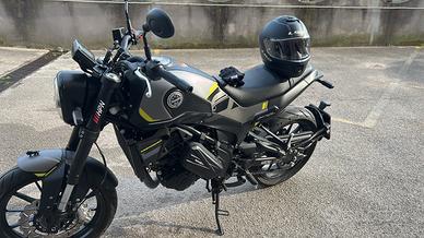Benelli Leoncino 250 - 2023