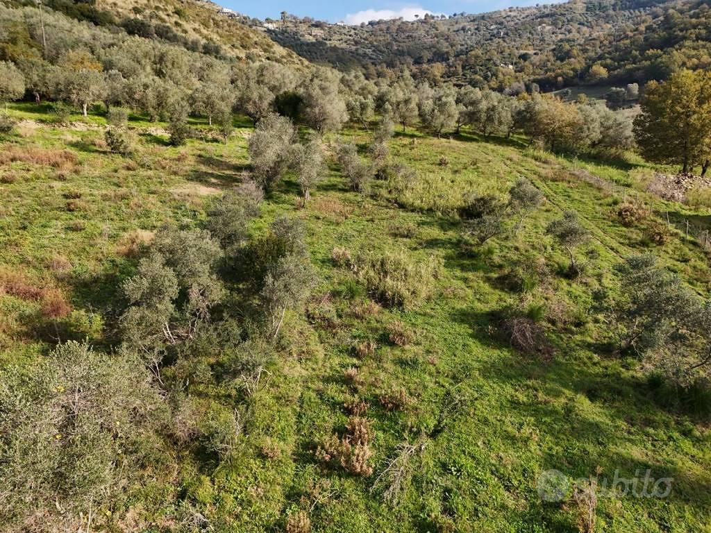 Terreno di 10500 m² a Perdifumo - Vista 5