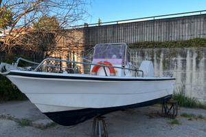 barca 5.8m astra top line 190 con mercury 40cv 4t